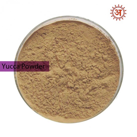 Yucca Powder full-image